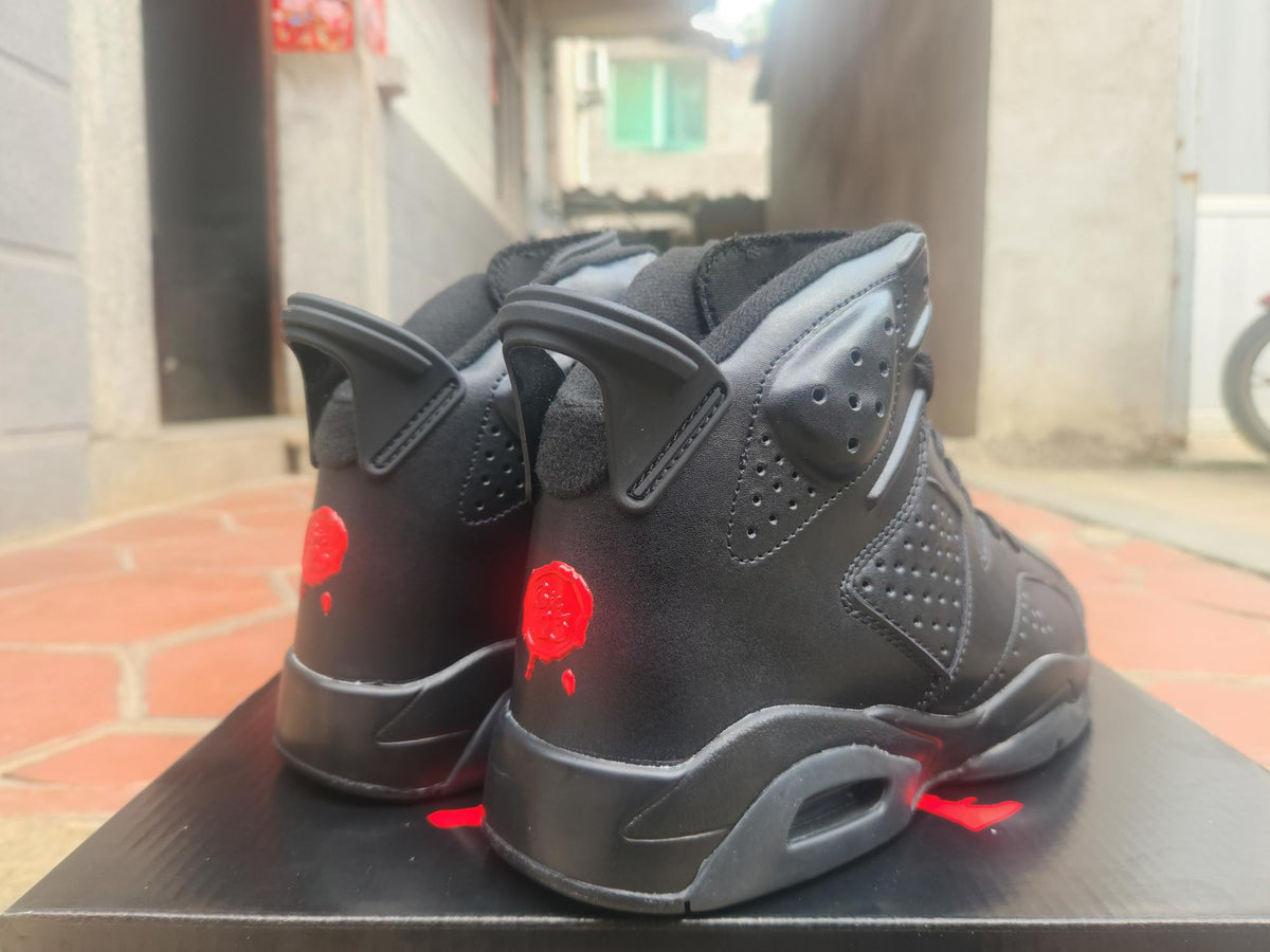 Air Jordan 6 Retro