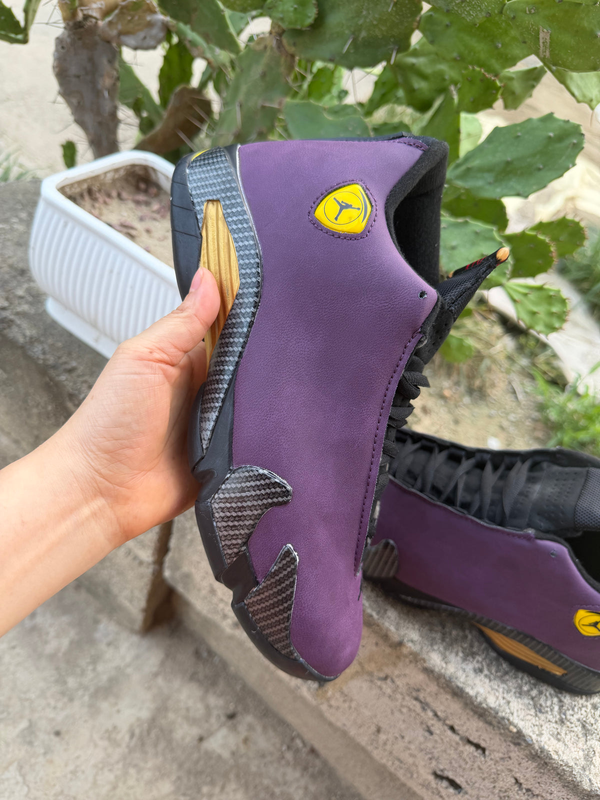 Air Jordan 14 Purple Black