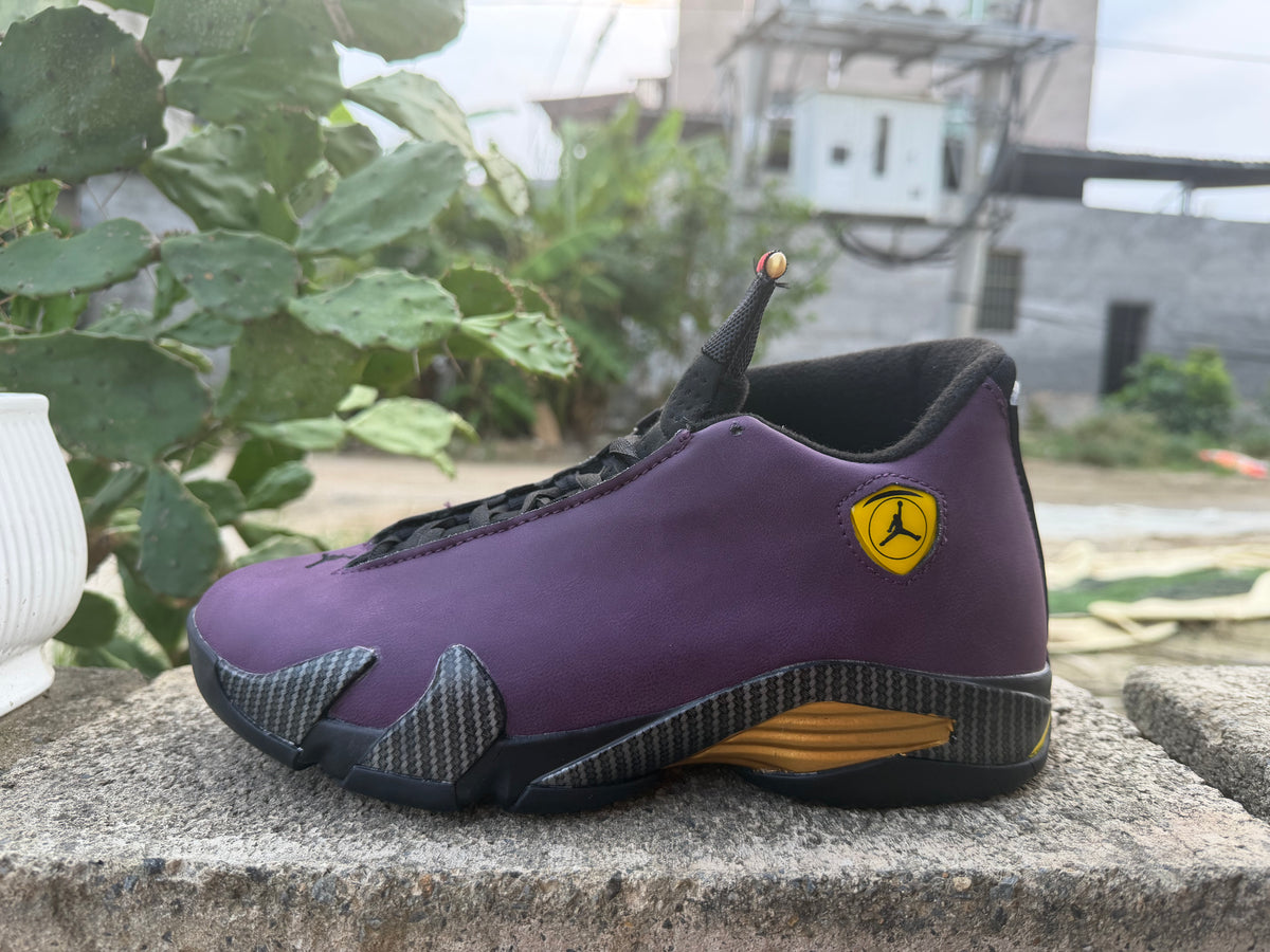 Air Jordan 14 Purple Black