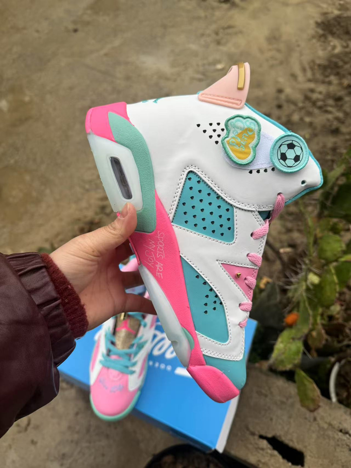 Women's Air Jordan 6 Retro Blue / Pink